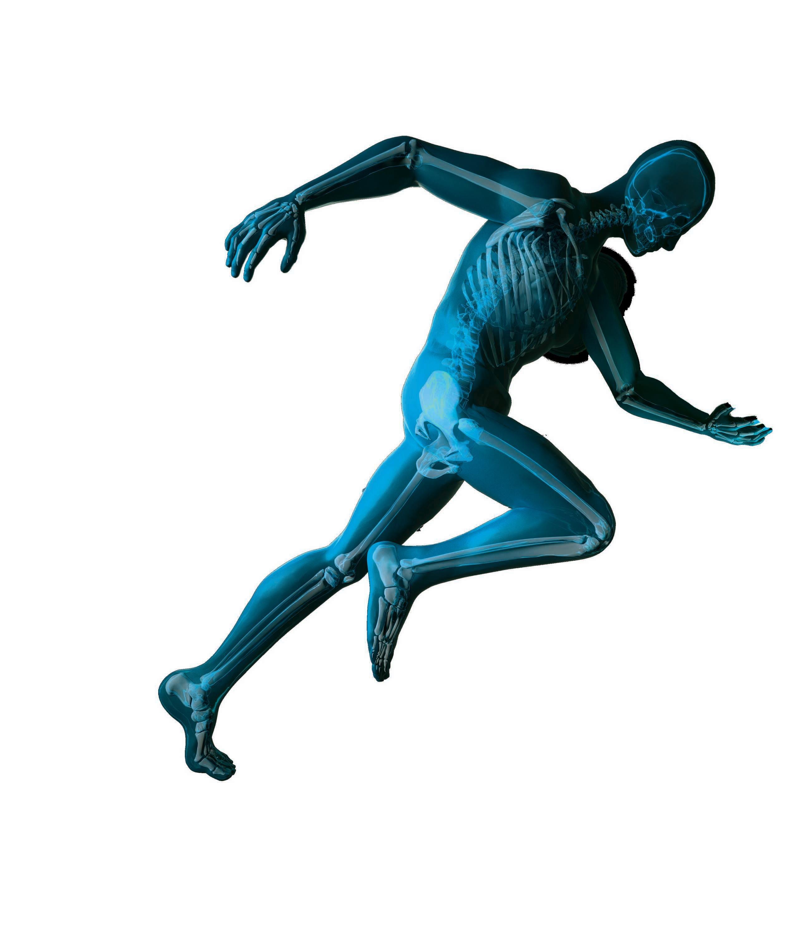 Campbell Orthopaedic Journal, Vol. 10. by CampbellFoundation - Issuu