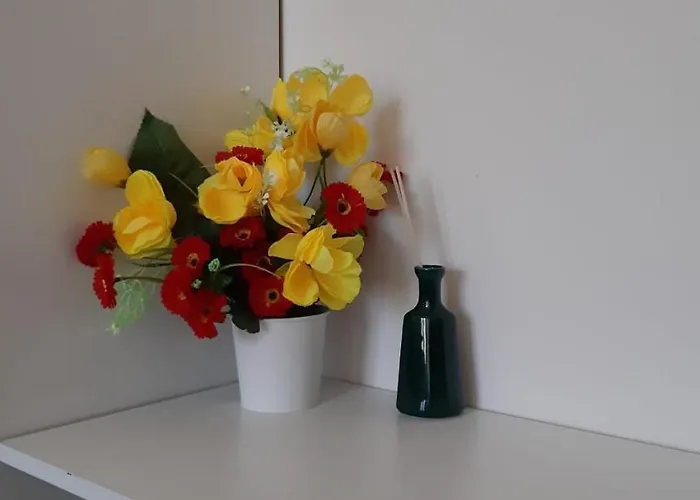 Migliori B&B a Cesenatico per Vacanze Memorabili