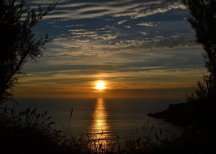 Top-Rated Hotels in Padstow for an Unforgettable Stay