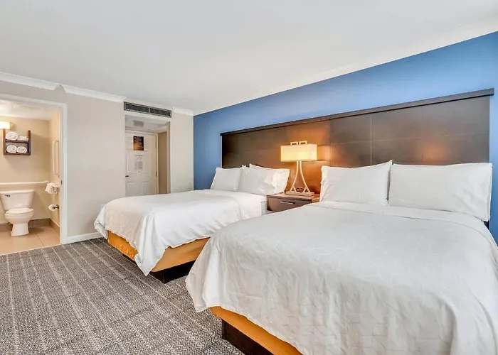 Top Pet-Friendly Accommodations in Savannah